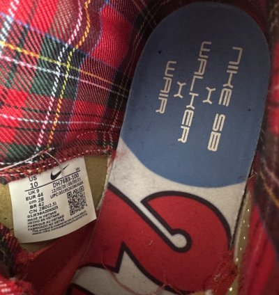 Ishod Wair Magnus Walker Dunk High Pro Sb Urban Outlaw