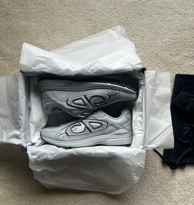Dior B30 grey