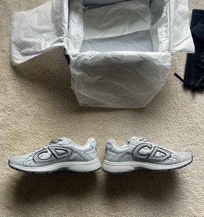 Dior B30 grey