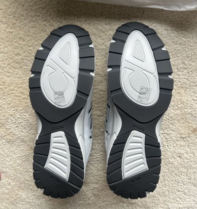 Dior B30 grey