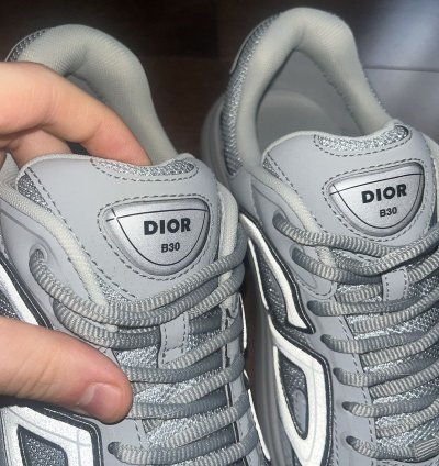 Dior B30 Grey Sneakers