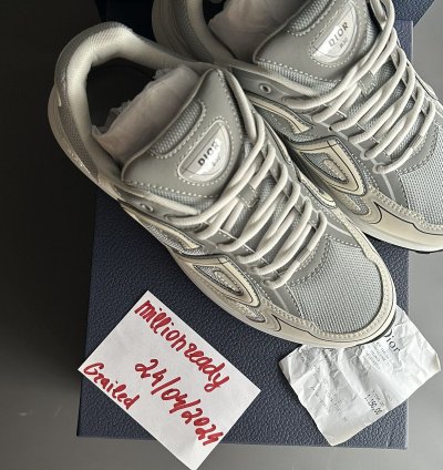 Dior B30 Grey White