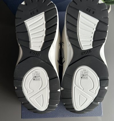 Dior B30 Grey White