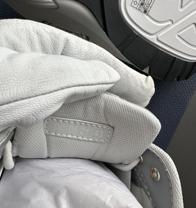 Dior B30 Grey White