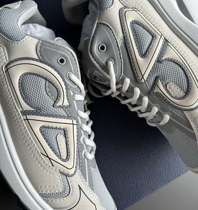 Dior B30 Grey White