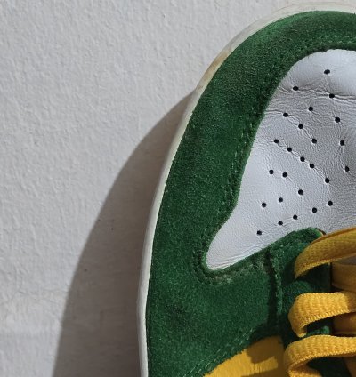 Nike - 2003 Nike Sb Dunk Low Pro Buck Oregon Bucks