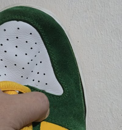 Nike - 2003 Nike Sb Dunk Low Pro Buck Oregon Bucks