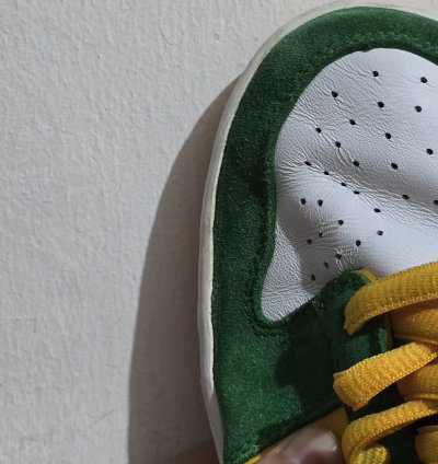 Nike - 2003 Nike Sb Dunk Low Pro Buck Oregon Bucks