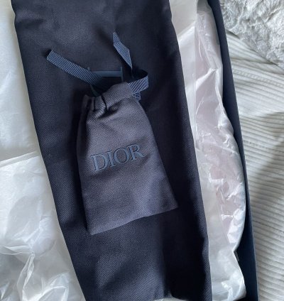 Dior B30 Pink Sneakers