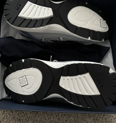 Dior B30 Trainers