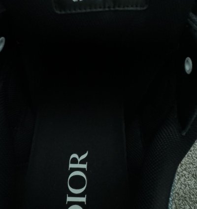 Dior B30 Trainers