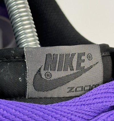 Nike Dunk Low Premium Sb Purple Pigeon Men