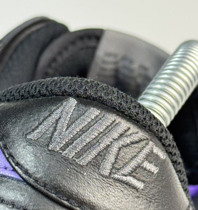 Nike Dunk Low Premium Sb Purple Pigeon Men