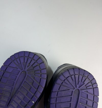 Nike Dunk Low Premium Sb Purple Pigeon Men
