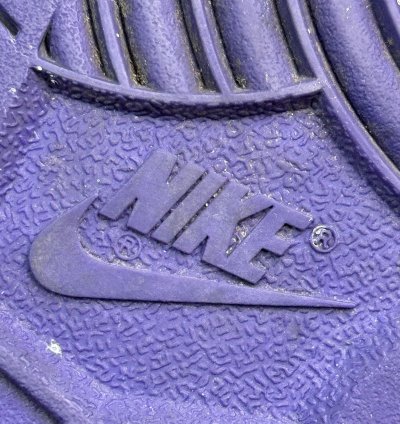 Nike Dunk Low Premium Sb Purple Pigeon Men