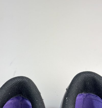 Nike Dunk Low Premium Sb Purple Pigeon Men