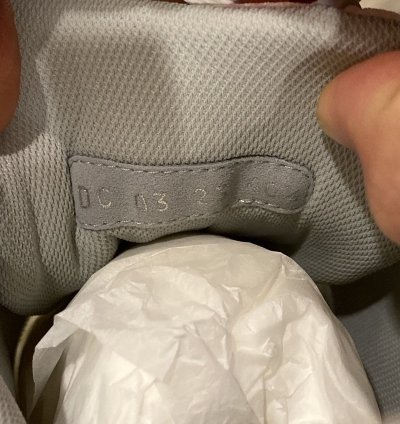 Dior B31 Runner 40 5