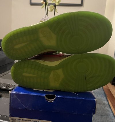 Nike Dunk Low Premium Sb Toxic Sea Robin