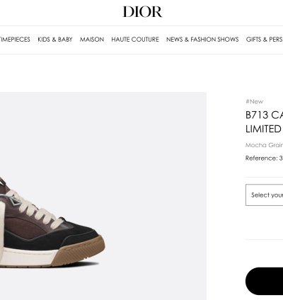Dior B713 Cactus Jack Sneaker