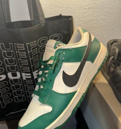 Nike Dunk Lows