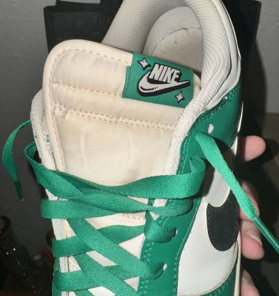 Nike Dunk Lows