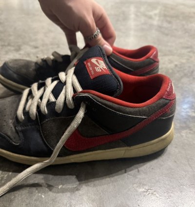 Nike Dunk Sb Dunk Low Pro Dark Obsidian Gym Red