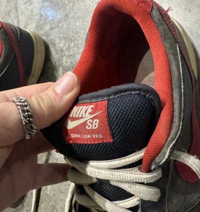 Nike Dunk Sb Dunk Low Pro Dark Obsidian Gym Red