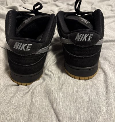 Nike Dunk Sb Fog