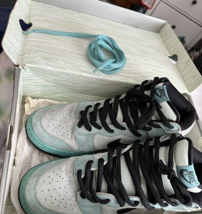 Nike Dunk Sb Sea Crystal High 04