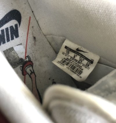 Nike Roller Derby Dunk Low Premium Sb