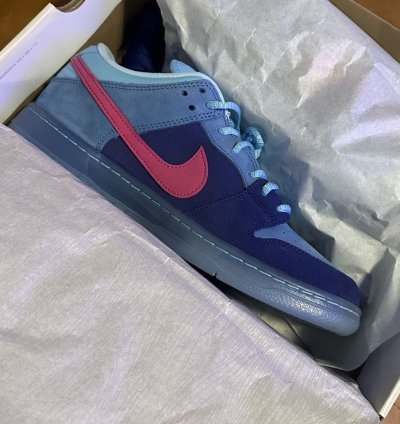 Nike Sb