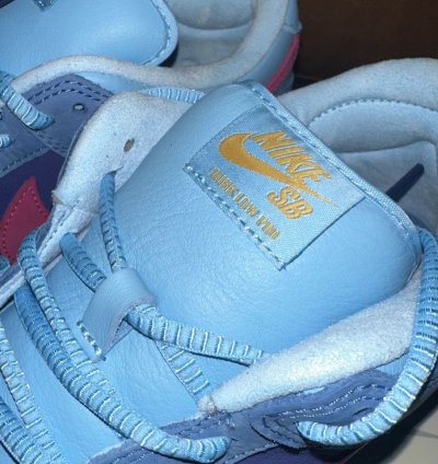 Nike Sb