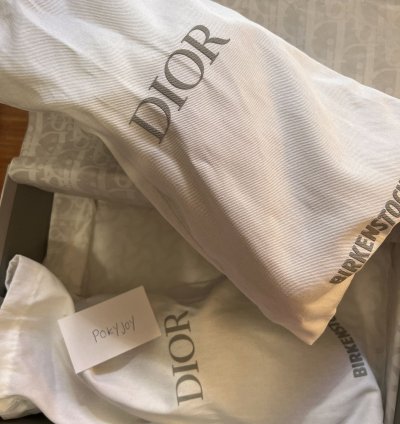 Dior Birkenstock Tokio Mule