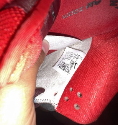 Nike Sb Cherry