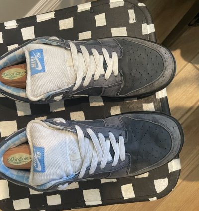 Nike Sb Concepts Dunk Low Premium Sb Blue Lobster 2009