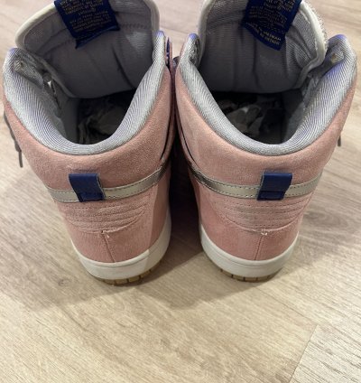 Nike Sb Concepts When Pigs Fly