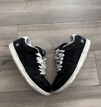 Nike Sb Dunk Bearbrick Lows Steal