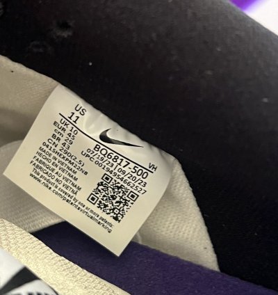 Nike Sb Dunk Court Purple