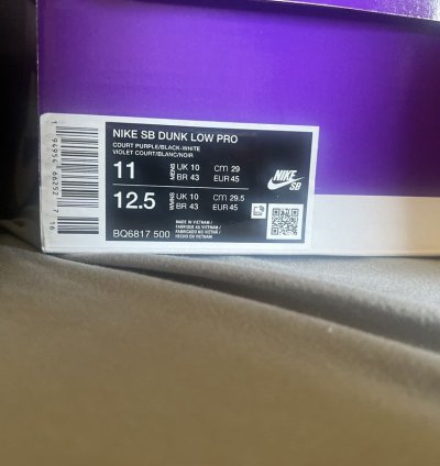 Nike Sb Dunk Court Purple