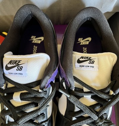 Nike Sb Dunk Court Purple