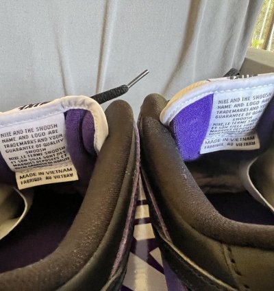 Nike Sb Dunk Court Purple
