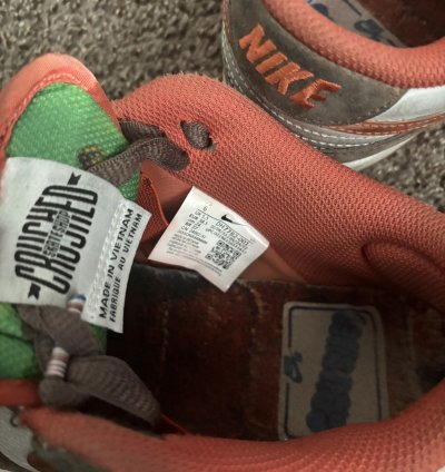 Nike Sb Dunk Crushed