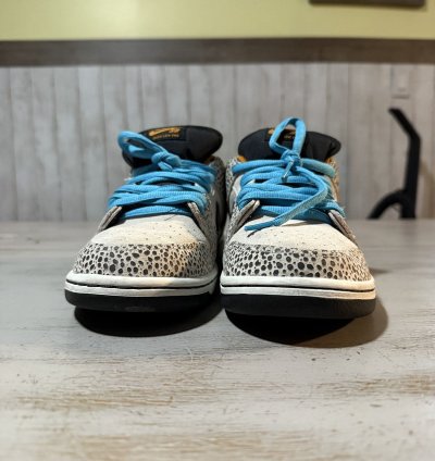 Nike Sb Dunk Electric Pack Olympic Pack