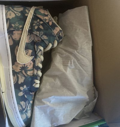 Nike Sb Dunk Hawaii