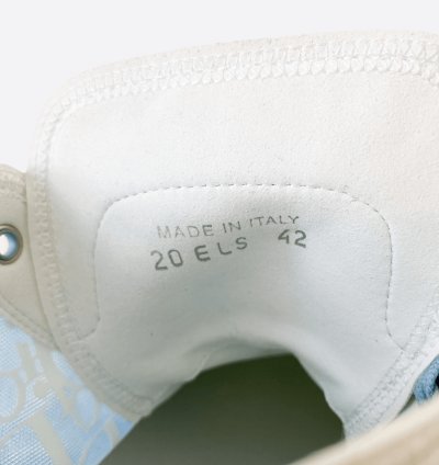 Dior Daniel Arsham Blue Oblique B23 Sneakers