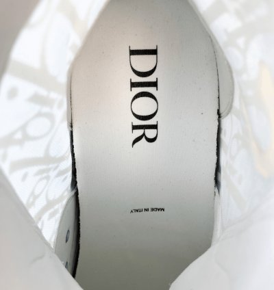 Dior Daniel Arsham Blue Oblique B23 Sneakers