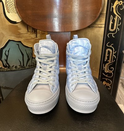 Dior Erl B23 High-top Sneaker