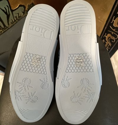 Dior Erl B23 High-top Sneaker