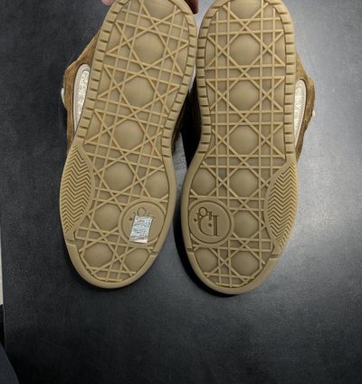 Dior Erl B9s Skater Sneaker Low