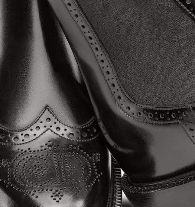 Dior Evidence Chelsea Boot
